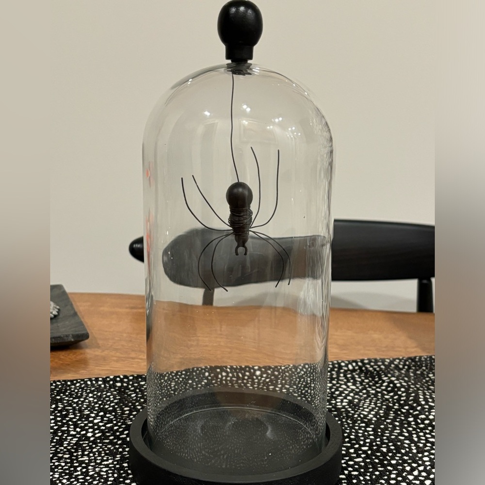 Pottery Barn Halloween Spider 🕷️ cloche